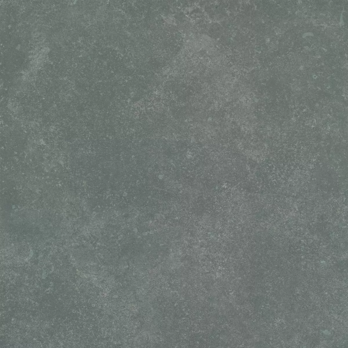 Muster Terrassenplatten Wilhelm Kalksteinoptik Grau 60x60cm