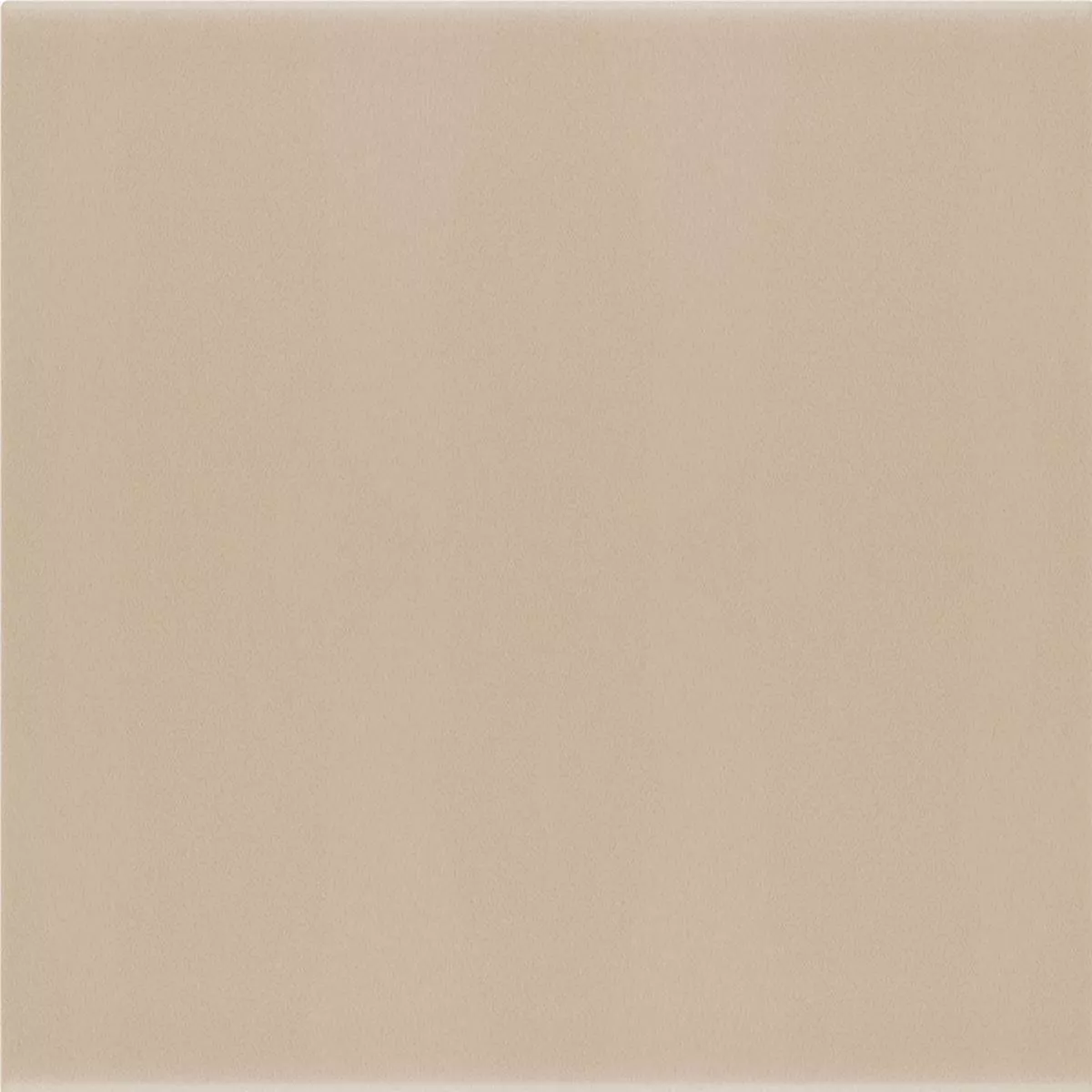 Wandfliesen Belluno Pastell Taupe 12,4x12,4cm Wandfliesen Belluno Pastell Taupe 12,4x12,4cm