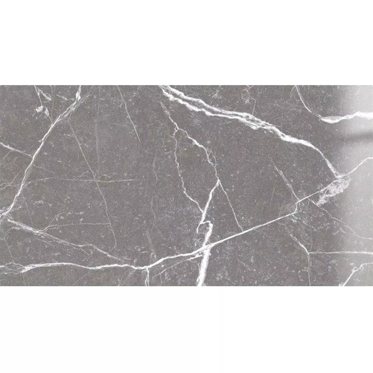 Bodenfliesen Santana Marmoroptik Poliert Grau 30x60cm