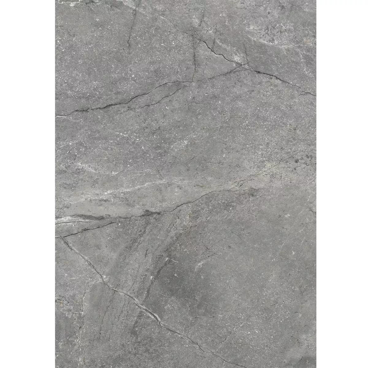 Bodenfliesen Pangea Marmoroptik Poliert Grau 60x120cm