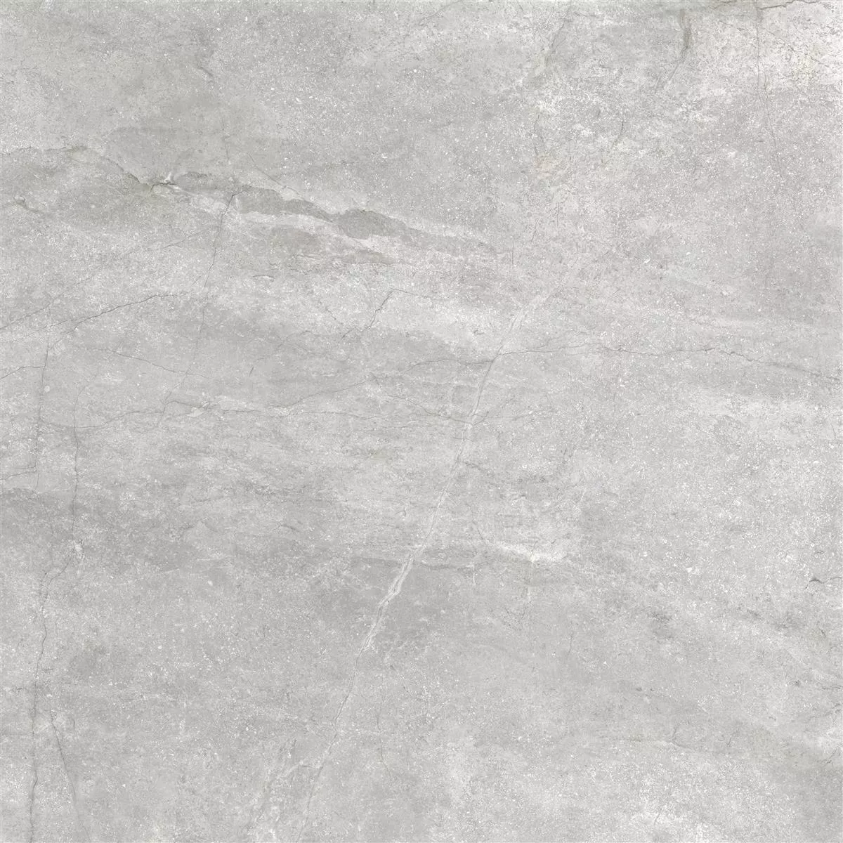 Bodenfliesen Pangea Marmoroptik Matt Silber 60x60cm