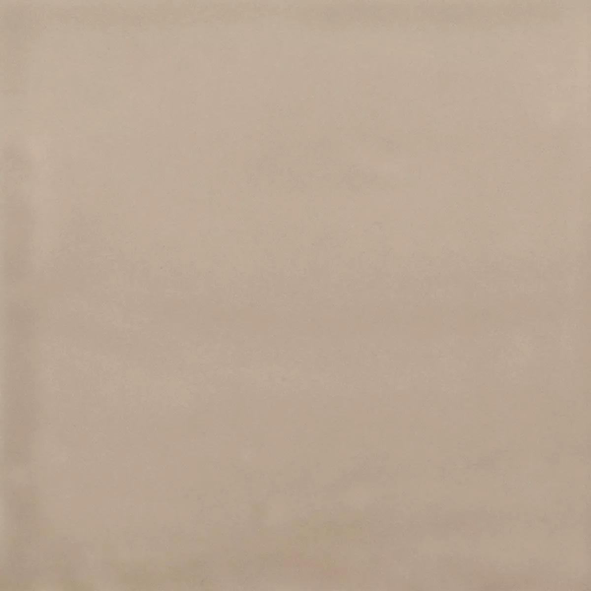 Feinsteinzeug Fliesen Ornamenti Grundfliese Creme Feinsteinzeug Fliesen Ornamenti Grundfliese Creme