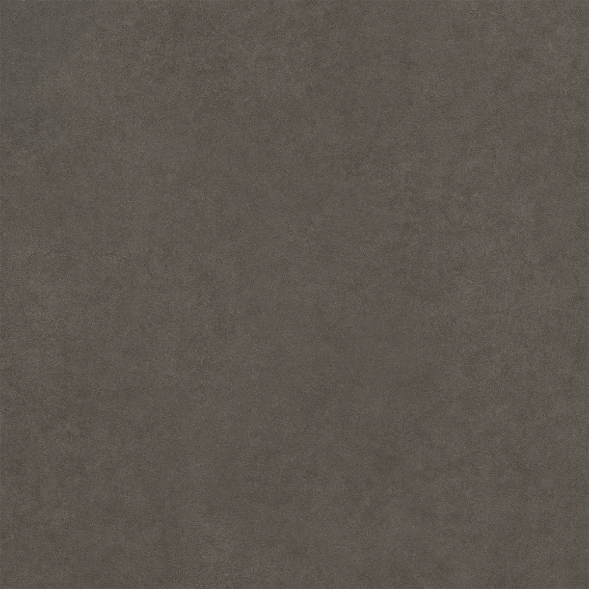 Kolossal Anthrazit 60x60 cm