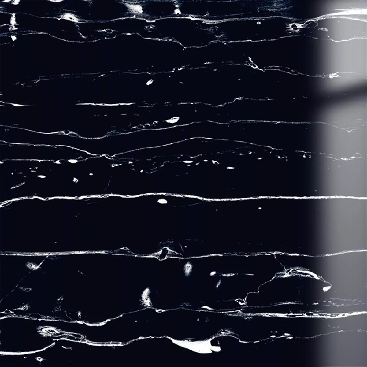 Bodenfliesen Corinaldo Marmoroptik Schwarz Glänzend Poliert 60x60cm