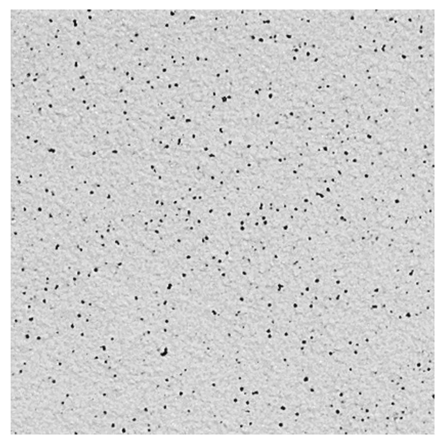 Muster Bodenfliese Feinkorn R10/A Grau 20x20cm